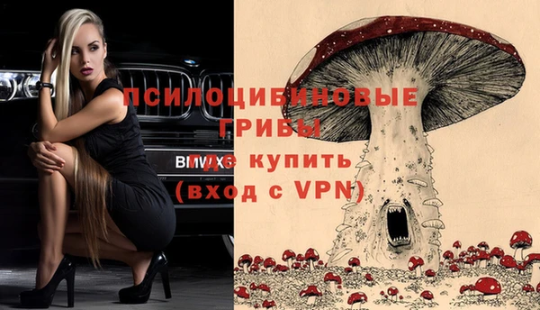 меф Осинники